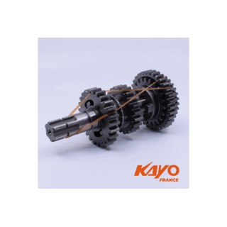 ARBRE SECONDAIRE COMPLET KAYO 250 K2