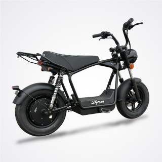 Moto électrique DAX E-WAT 1200W - SKYTEAM