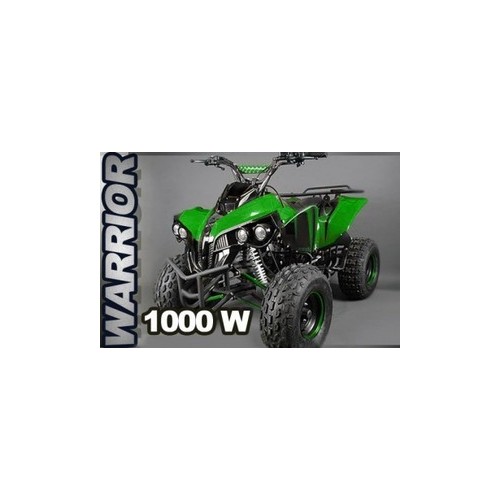 Quad 1000 watts warrior 20AH